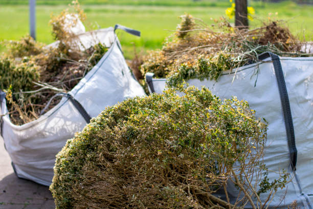 Best Yard Cleanup Services  in Long Branch, VA