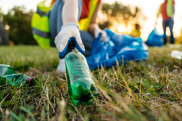 Yard Cleanup Services in Long Branch, VA